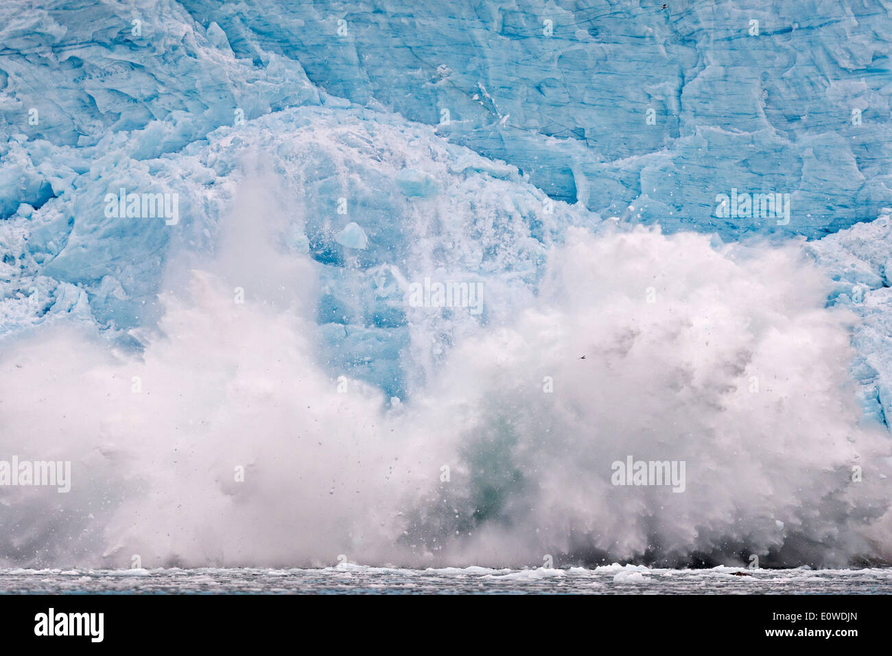 Il ghiacciaio del parto, rim del ghiacciaio Monacobreen, Liefdefjorden, Spitsbergen, isole Svalbard Isole Svalbard e Jan Mayen, Norvegia Foto Stock