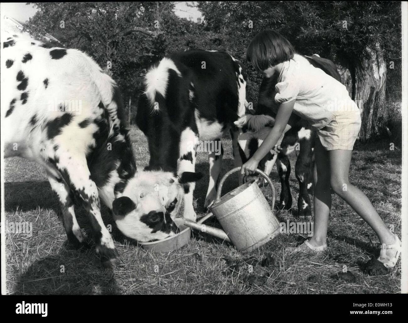 Sett. 30, 1962 - ragazza porta acqua per vacche durante la siccità, Ile de France Foto Stock