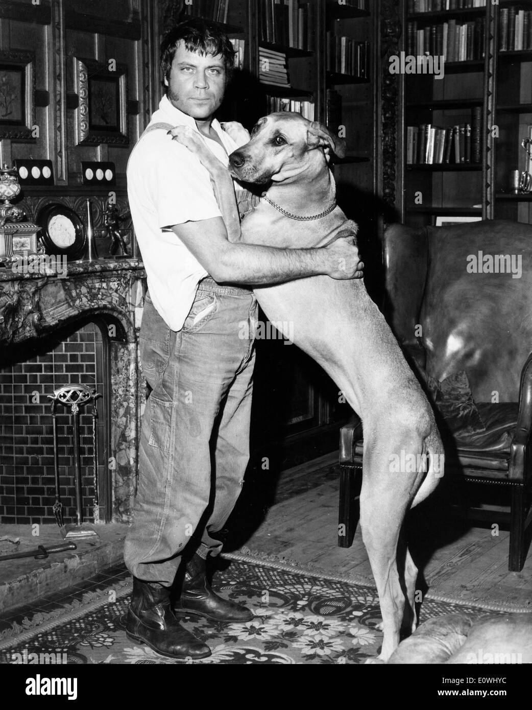 Attore Oliver Reed con il suo cane Tars Foto Stock