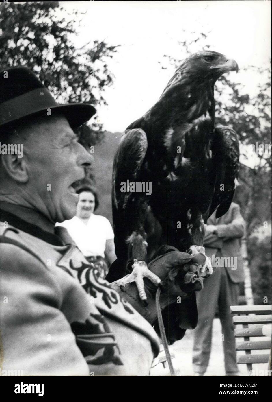 Agosto 12, 1963 - per essere visto in natura: è questo federale tedesco - Eagle nella eagle-osservatorio di Berlebeck in ''Foresta Teutoburger''. Golden Eagle Pietro, 32 anni e modello per la Federal-Eagle, vive insieme con 63 Eagles, gli avvoltoi e altri hind claw-uccelli - tra di loro ci sono tre stelle del cinema: ''Ajax'' e ''Anka'' (Geiervally- Vulture -Wally) e ''Sacha'' (Valle delle aquile). Dopo ore o giorni gli animali ritornano nella loro casa. Eagle- Padre (69) Adolf Deppe vive dal 24 anni con questi uccelli insieme Foto Stock