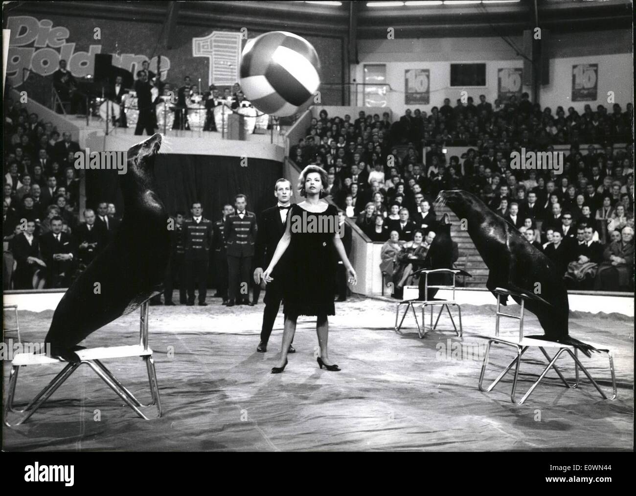 Il 12 Dic. 1963 - un gran gala premiere : con il titolo ''Stelle in manege'' ha avuto luogo il venerdì sera in Monaco di Baviera famoso circo Krone. Al performance ha preso parte un grande sacco di noti artisti del cinema e della televisione. L utile netto del festival sarà speso fr il fondo ''VECCHIAIA-help'' di munior. La nostra immagine mostra schermo star Nadja Tiller come mare-lion trainer. Foto Stock