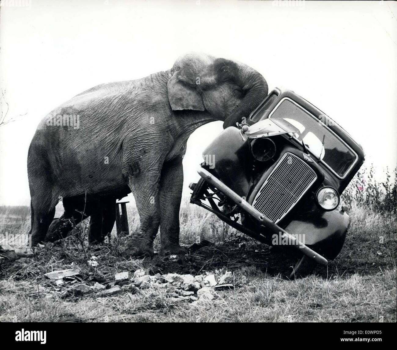 Gen 04, 1964 - Elephant è una scomposizione furgone: un 20-anno-vecchio elefante chiamato Baby è guadagnare la sua inverno mantenere lavorando come towtruck presso East Midland alla stazione di servizio a Warmington, Northants. La foto mostra il bambino si muove un relitto presso la stazione di servizio. Foto Stock