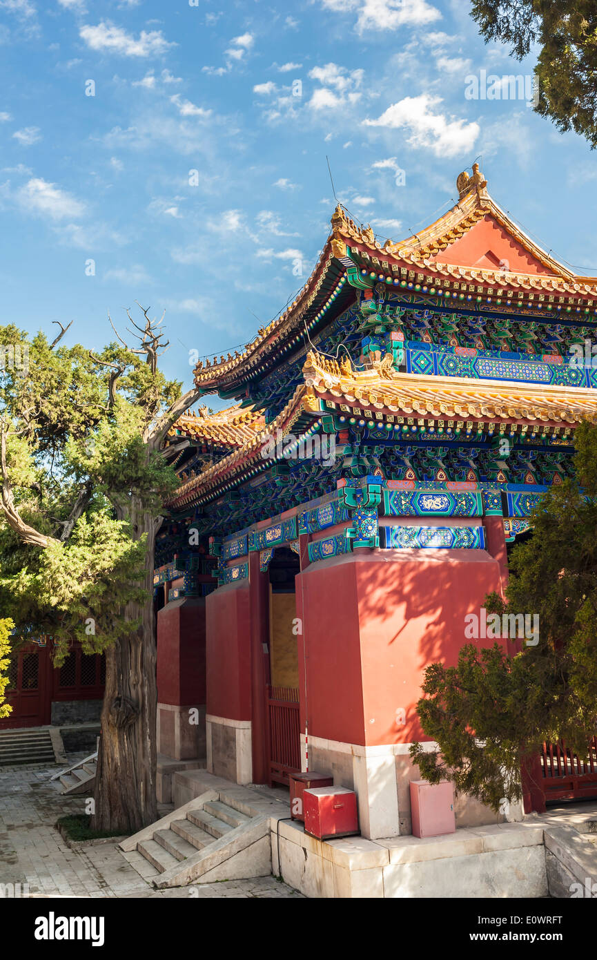 Pietra-tablet pavilion al tempio confuciano, Pechino Foto Stock