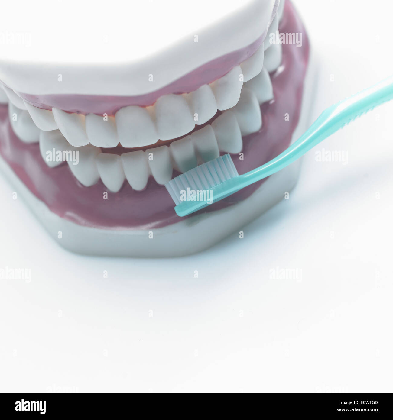Uno spazzolino da denti accanto a un modello della bocca e dei denti Foto Stock