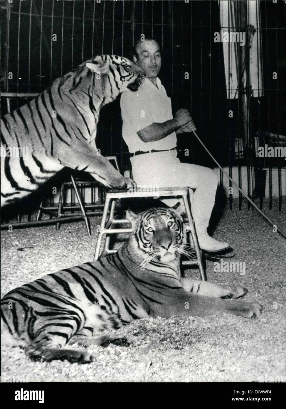 Mar 25, 1964 - un domatore è seriamente ferito da una tigre: ieri mattina, durante una prova al Cirque d'Hiver-Bouglione, Foto Stock