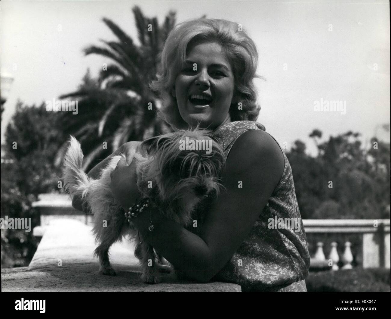 Sett. 09, 1964 - Roma, 11 Settembre 1964: Beba Loncar una giovane e promettente attrice yugoslave tornò a Roma da Belgrad, dopo che aveva completato la sua regola nella british picture: '' il bambino piange per madre". Ora ha iniziato il lavoro di pellicola su '' Ho Bidonati'' ( Le Corniaud ) co-starring attore francese Bourvil e molti altri attori italiani. Appassionato di Roma ha voluto questa mattina touring in su e in giù, appositamente fermandosi a Villa Borghese considerato il più bel giardino della nostra città. Mostra fotografica di Giul 305921. Foto Stock