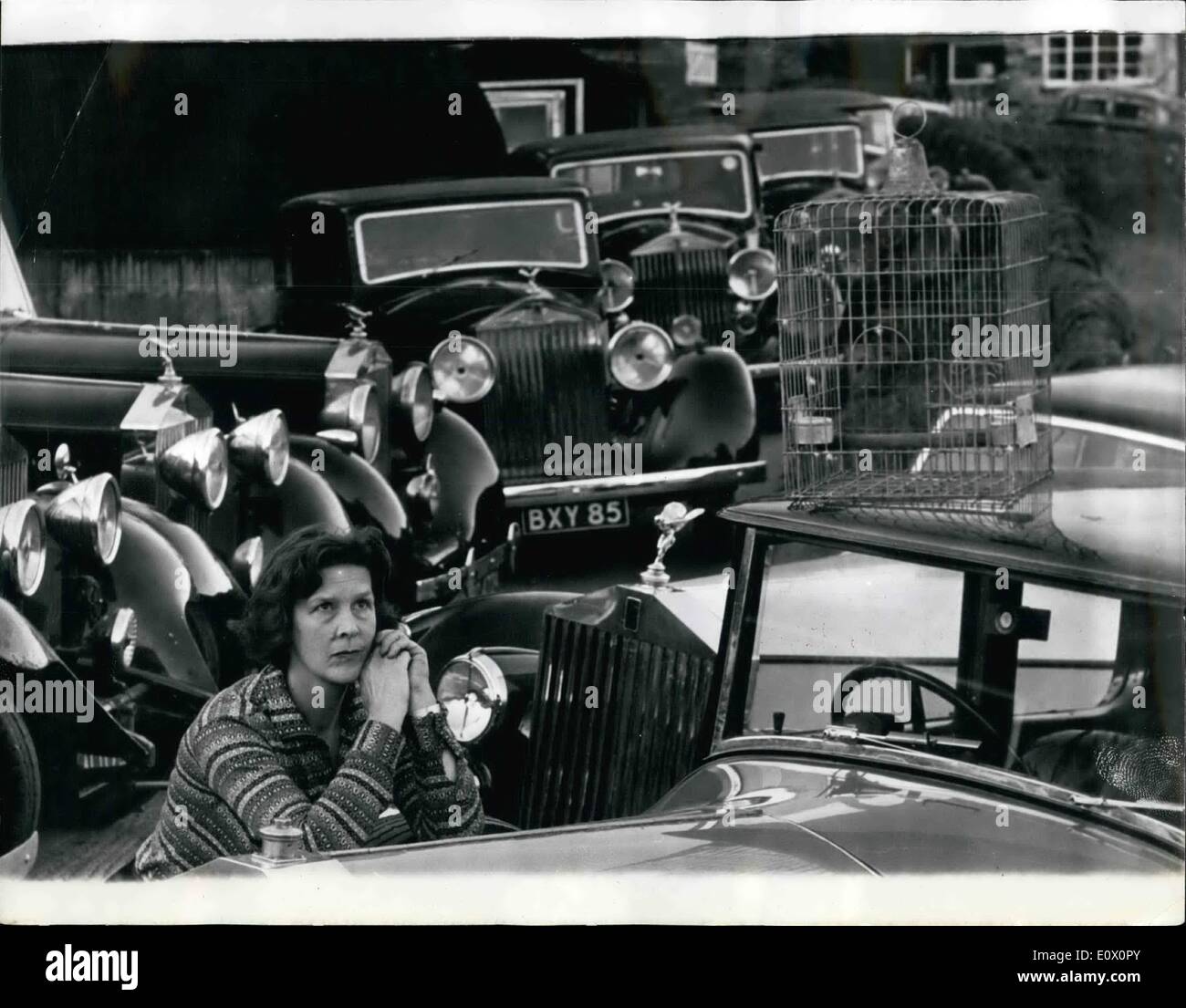 Ottobre 10, 1964 - ''tornare il mio pappagallo e io vi darò una Rolls Royce''.!: Sig.ra Avril Scott-Montorieff di Chaddleton, Staffs. Aveva un pappagallo chiamato ''Charlie'' venuti dall'Africa. Lei era molto affezionato di Charlie - ma a pochi giorni fa - Charlie era tra i dispersi. La sig.ra Scott-Montorieff pubblicizzata localmente - ''Tornare Charlie per me - e puoi vincere uno dei miei Rolls Royce auto&GT;'' La Sig.ra Scott-Harriman ha un hobby di raccolta di Rolls Royce cars - antichi e moderni - ha cinquanta di loro. Non dice che la sua auto ella sarebbe presente. La foto mostra la signora Foto Stock