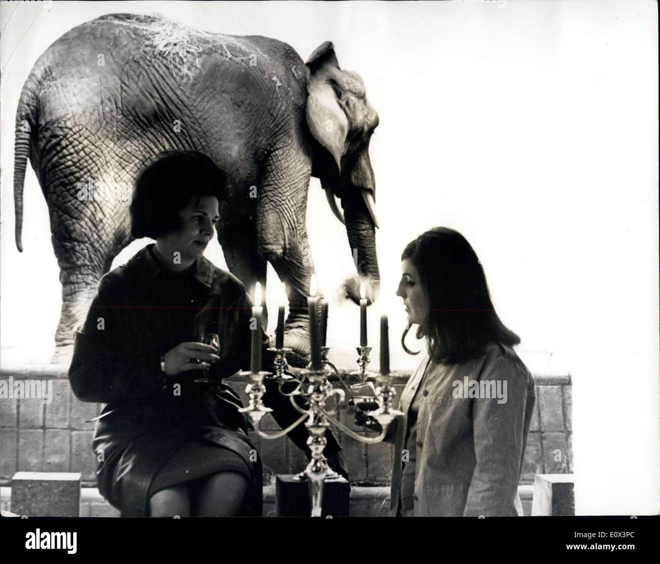 Mar 16, 1965 - Nuovo elefante e rinoceronte padiglione presso lo Zoo di Londra. Cocktail e cena a lume di candela a. Il nuovo elefante e rinoceronte padiglione presso lo Zoo di Londra è stato aperto al pubblico nella giornata di ieri per la prima volta. Esso contiene quattro elefanti alloggiato in coppie di penne. Gli animali stanno in piedi leggermente al di sopra del livello del oscurato arena pubblica - e sono viste contro una parete Cycloramic. Il padiglione è dotato anche di piscine riscaldate - per i bagni giornaliera. Keystone Mostra fotografica di:- cocktail e a lume di candela - un Cocktail Party è stato organizzato per celebrare l'apertura.. del nuovo padiglione presso lo Zoo di Londra. Foto Stock