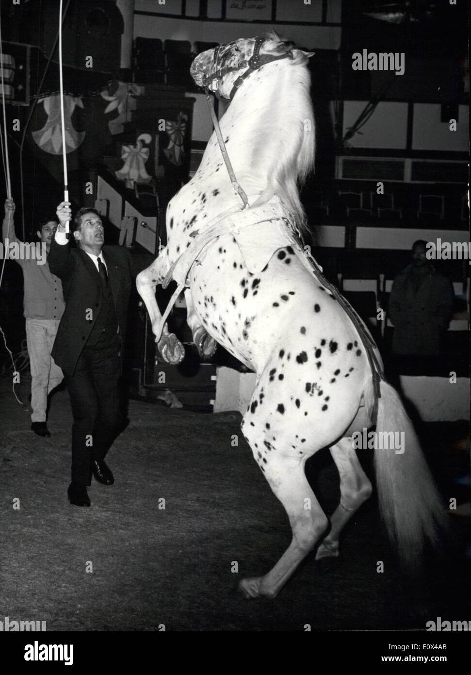 Febbraio 02, 1965 - il famoso attore come allenatore di cavalli: Georges Marchal, il famoso schermo francese e attore di scena, è occupato le prove per la carità annuale mostra degli artisti' Unione. Mostra fotografica di Georges Marchal ripassando il suo agire come un allenatore di cavalli al Cirque d'hiver questa mattina. Foto Stock