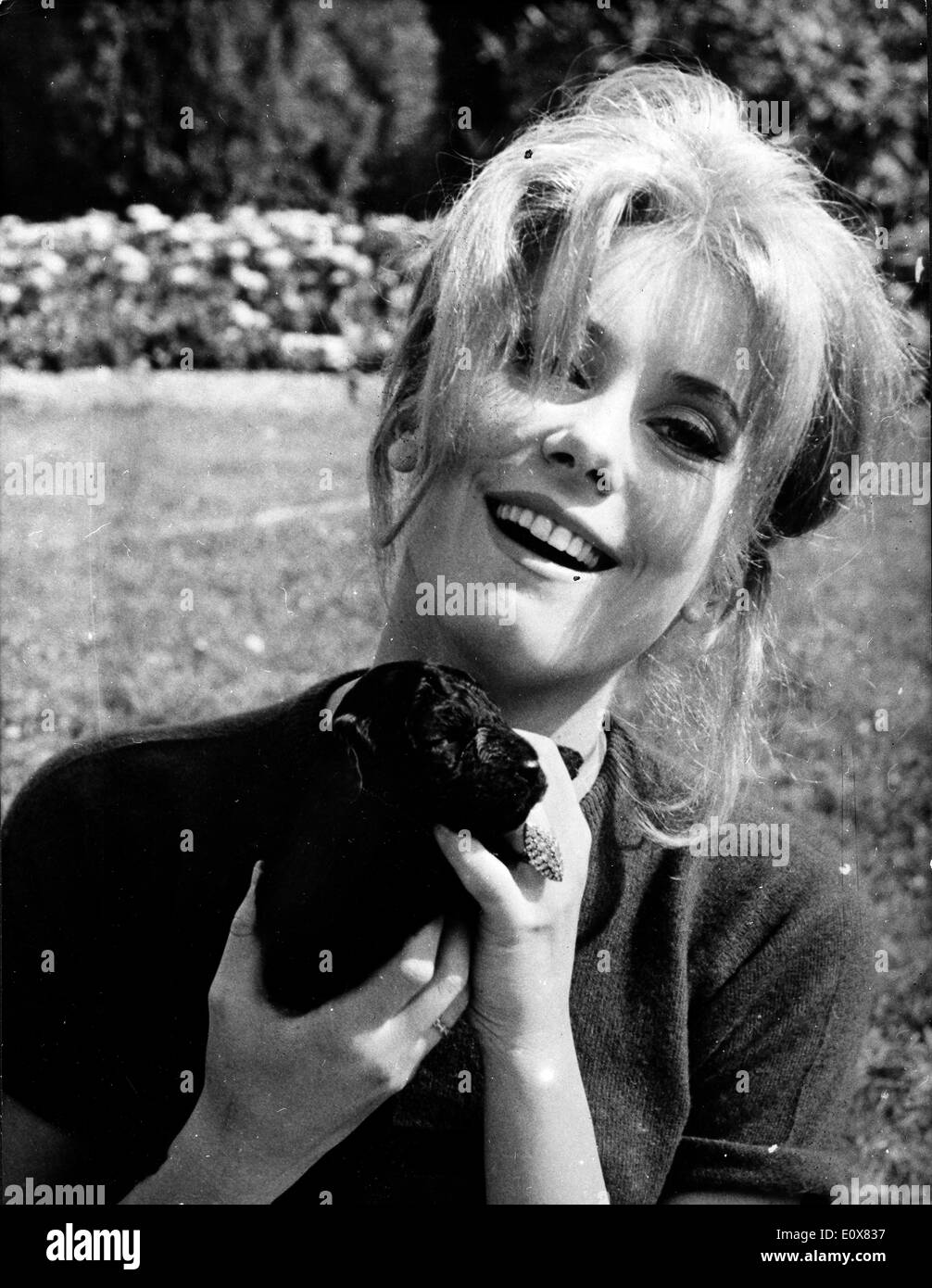 Attrice Catherine Deneuve tenendo un cucciolo Foto Stock