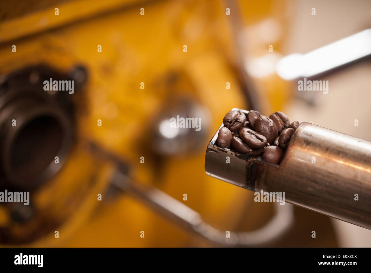 Una macchina la tostatura i chicchi di caffè Foto Stock