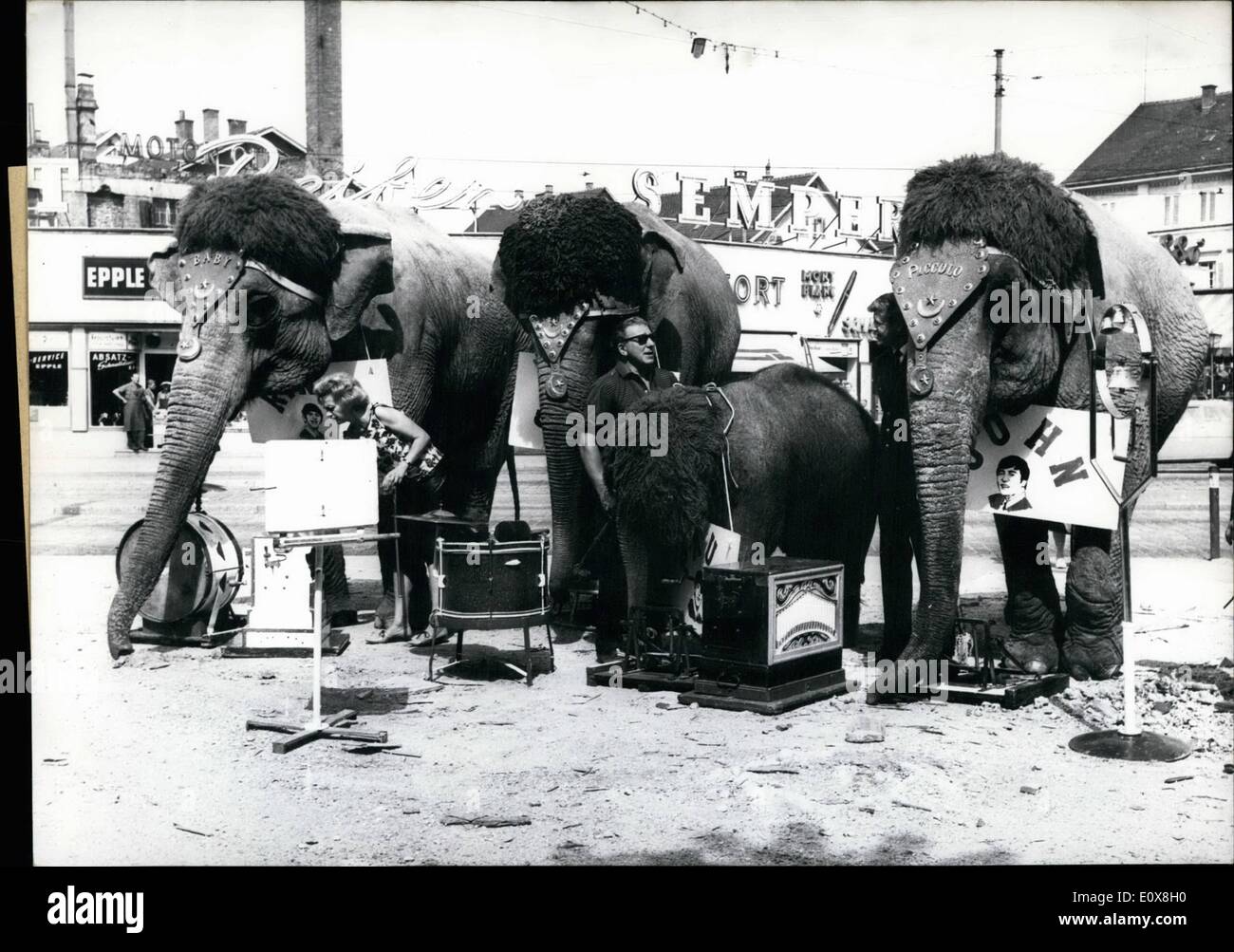 Agosto 08, 1965 - una vera e propria Beatles-Concert hanno dato i quattro elefanti del Circus Busch a Bad Cannstatt nei pressi di Stoccarda. Per il divertimento di spettatori gli elefanti ha suonato una musica ritmica con percussioni e organetto. Ma essi avevano la musica più economico del 'decorated'' real Beatles. ''Elephant Beatles'' TASSA: una pagnotta di pane. Foto Stock