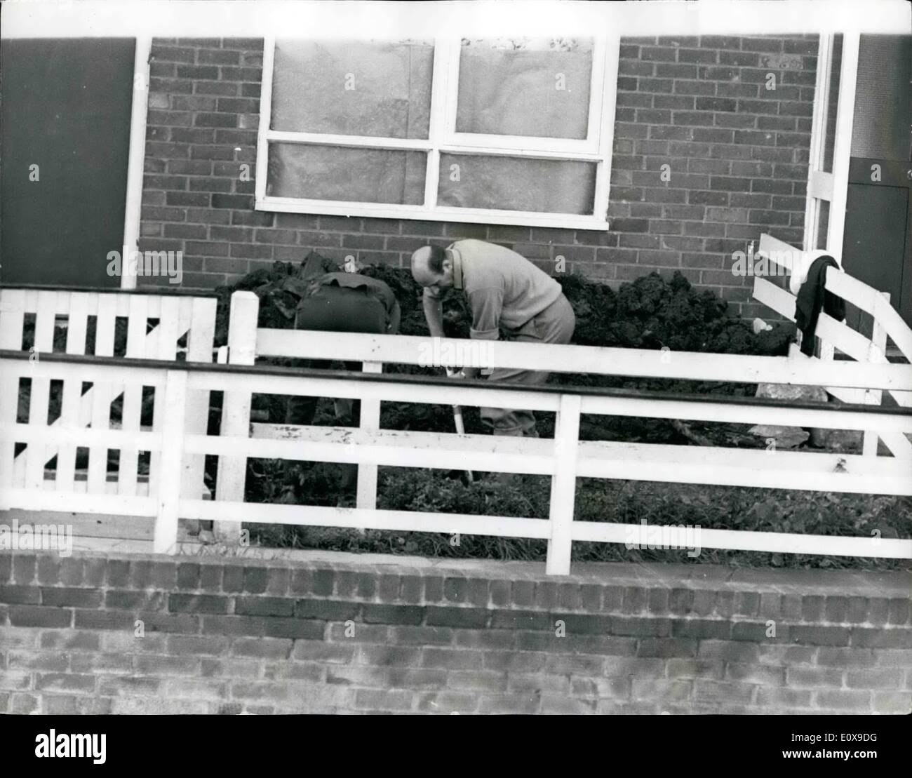 Ottobre 10, 1965 - giovane accusato di aver ucciso 10-Year-Old ragazza trovato sepolto sulla Pennine Moors: un giovane uomo e donna sono stati accusati di aver ucciso 10-anno-vecchio Lesley Downey, il cui corpo è stato trovato sepolto sulla Penine Morrs ultimo week-end. L'uomo era di 27-anno-vecchio Ian Brady, e la donna è stata di 23-anno-vecchio Myra Hindley, una stenografia dattilografo. La foto mostra il detective sono visti scavando nel giardino di una casa a la overspill sobborgo a Hattersley, Hyde, la casa di Ian Brady. Foto Stock