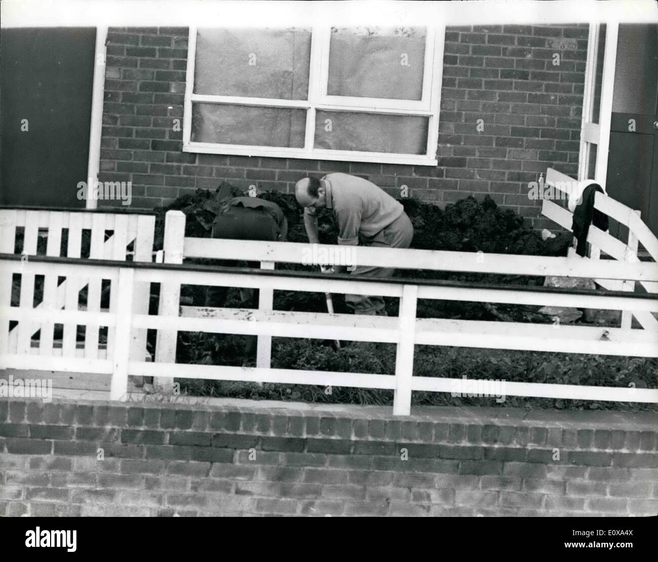 25 ottobre 1965 - 25.10.65 giovane accusato di aver ucciso 10-anno-vecchia ragazza trovato sepolto sulla Pennine Moors. Un giovane uomo e donna sono stati accusati di aver ucciso 10-anno-vecchio Lesley Downey, il cui corpo è stato trovato sepolto sulla Pennine Moors lo scorso weekend. L' uomo era 27 anni di Myra Hindley, una stenografia dattilografo. La foto mostra: Detective sono visto scavando nel giardino di una casa a la overspill sobborgo a Hattersley, Hyde, la casa di Ian Brady. Foto Stock