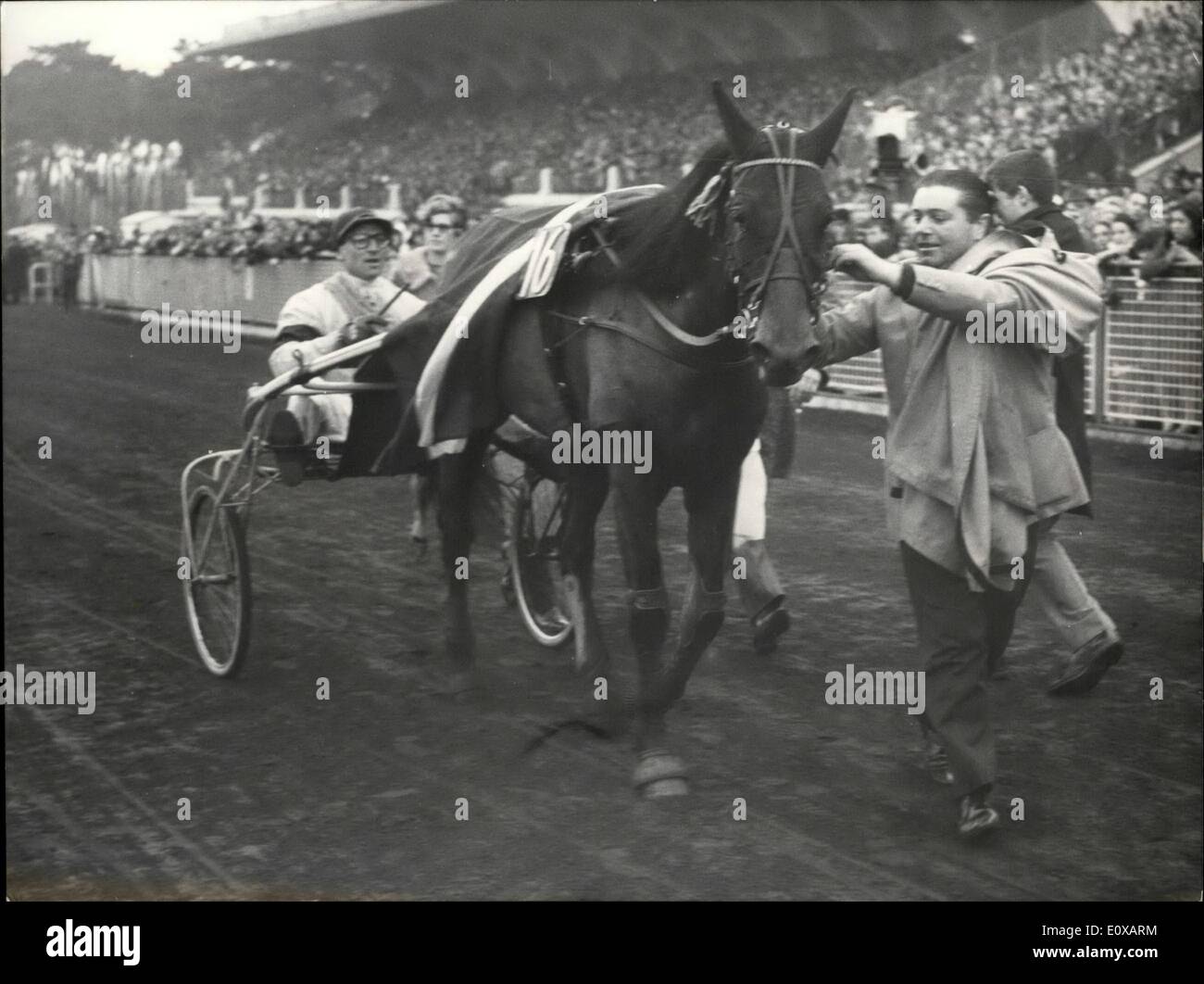 Gen 01, 1966 - ''Roquepine'' Enlevelefrix Damerique: Cet apres-midi, sur Phipodrome de Vircennes, eprueve Lagrande Internationale de trotattle, Le Prix Damerique, s'est corte devant des dozzine de mugnai de spectateurs. La vittoriosa entrate est a la jument ''Roquepine'' de PE curie Levesque, drivee par J.R. Gougeon deviante, ''Elma'' et'' petit amoy f.'' Npm/La Jument'' Roquepine'' Apres Sa Victoire. Foto Stock