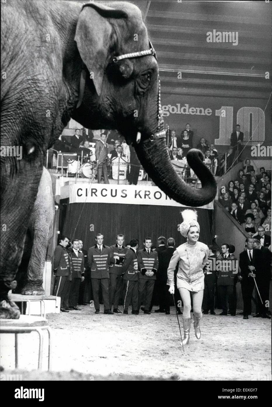 Il 12 Dic. 1966 - ''Stelle in Arena'': sotto questo motto la Abendzeitung, un ben noto Monaco di Baviera boulevard-journal, disposti nel Circus Krone a Gala-Evening, il margine di profitto di cui sarà per il monaco di baviera ''aiuto per le persone anziane''. Questo andamento è stato e il punto culminante del grande enigma-play ''Il Golden 10'' in cui circa 590.000 persone hanno partecipato quest'anno. Tra i 3.500 spettatori erano la personalità di spicco numerose.La ''Prima televisione tedesca'' notato l'intero show. La foto mostra la famosa attrice tedesca Nadja Tiller con un elefante-show. Foto Stock