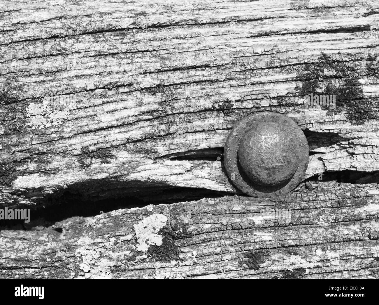 Chiatte distrutto nei pressi del villaggio di Purton Gloucestershire, sulle rive del fiume Severn Foto Stock