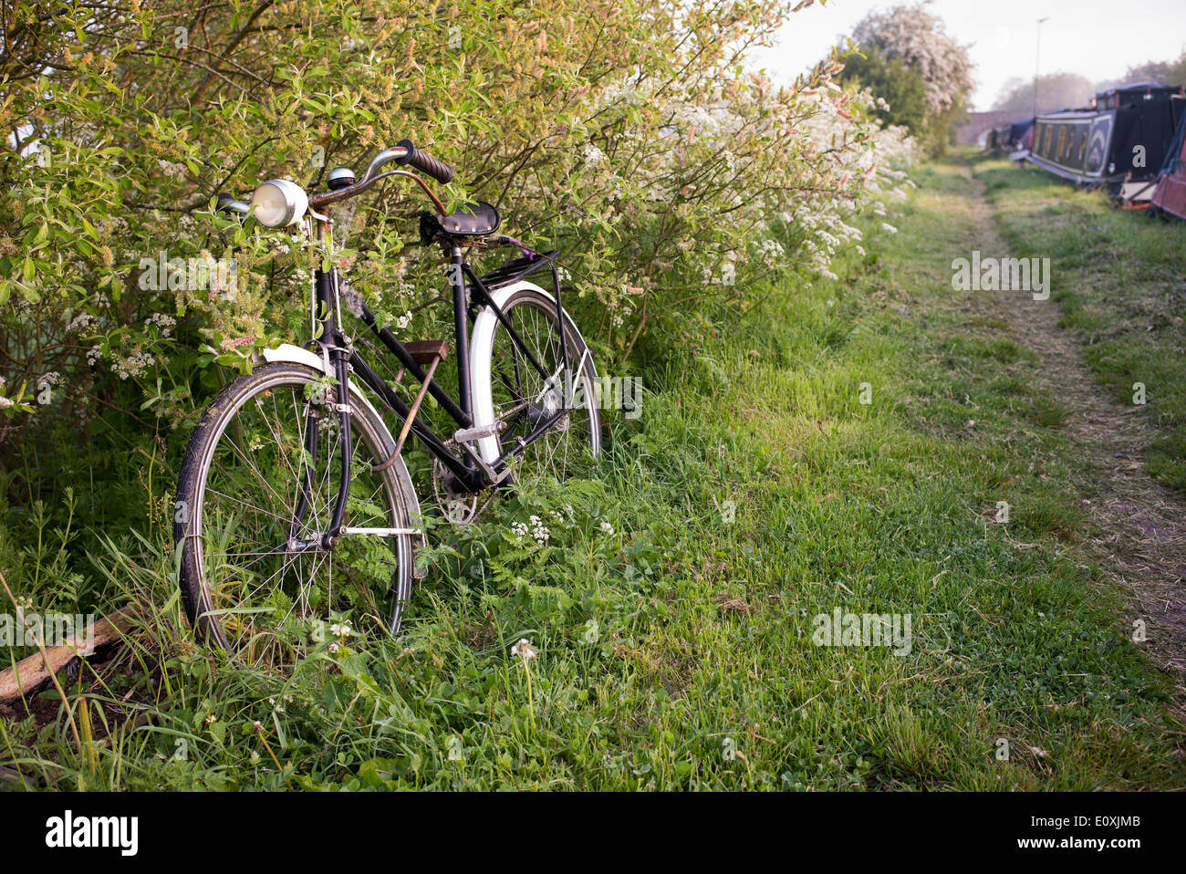 Vecchia bicicletta nella siepe su un canale alzaia nella campagna inglese Foto Stock