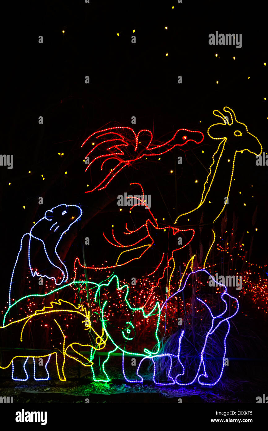 Le luci di Natale conformata come animali, Zoo di Denver luci, Zoo di Denver, Denver, Colorado, STATI UNITI D'AMERICA Foto Stock
