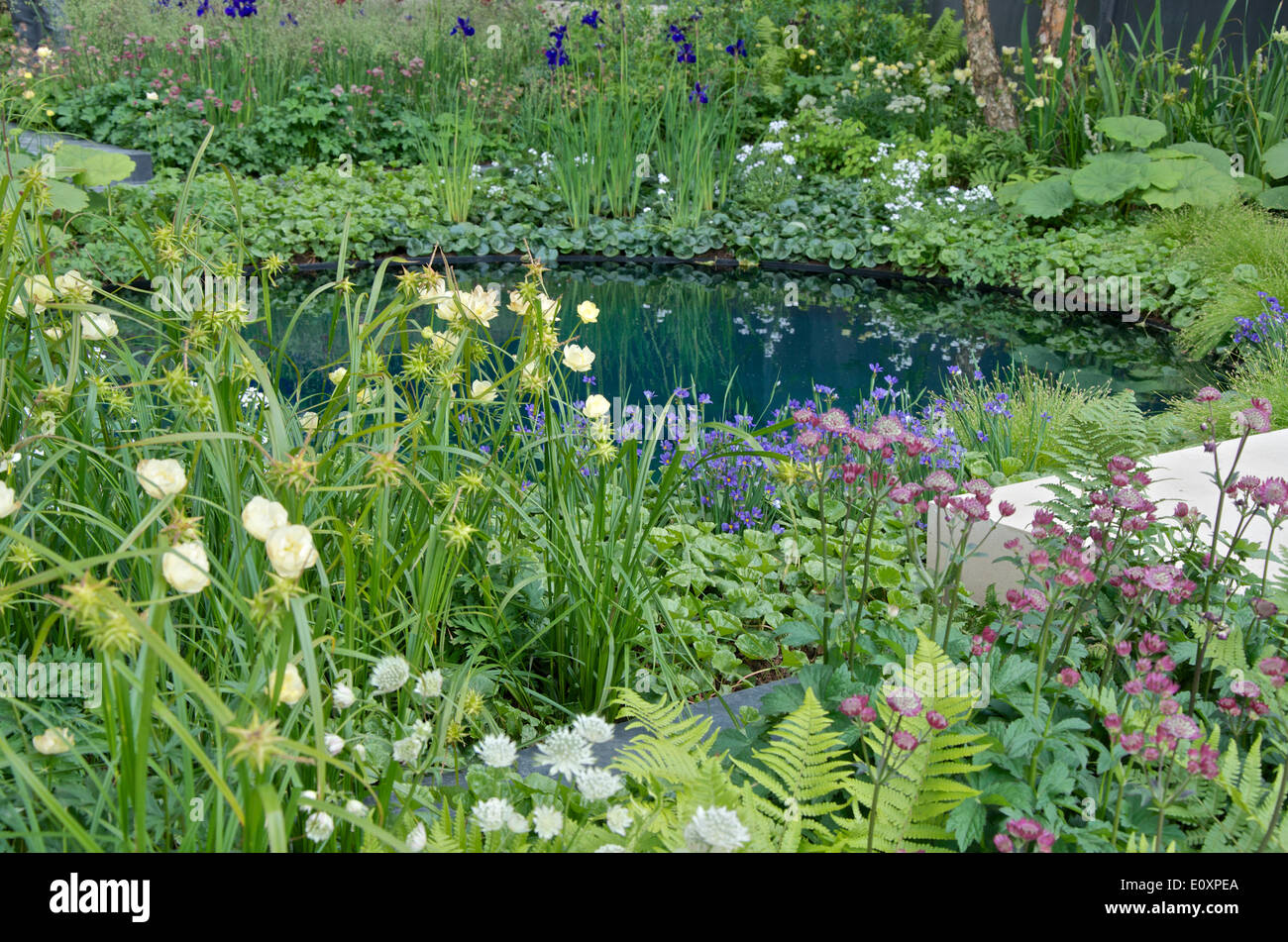 Il cratere di miniera di stagno e piantare la medaglia d oro giardino vincente "No Man's Land: ABF il soldato' la carità in giardino per le celebrazioni del centenario della prima guerra mondiale ", a RHS Chelsea Flower Show 2014, progettato da Charlotte Rowe. Foto Stock