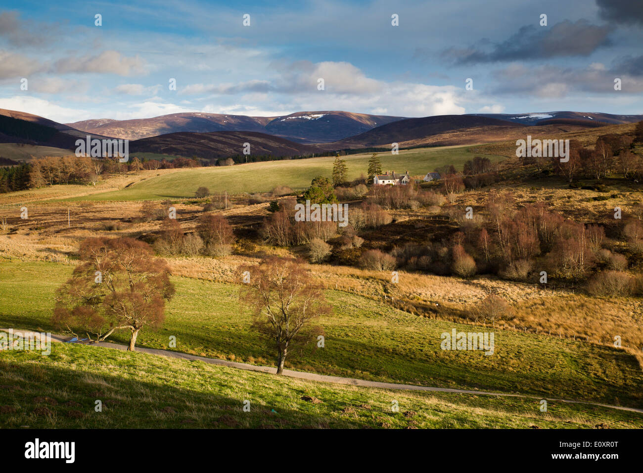 Scaletta colline; da pasqua Corrie; Cairngorm; Scozia Foto Stock