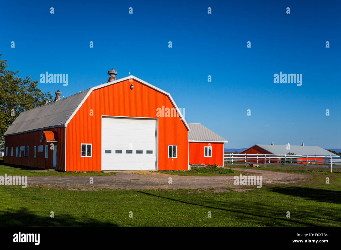 Una farm barn sull isola di Ile d'Orleans, Quebec, Canada. Foto Stock
