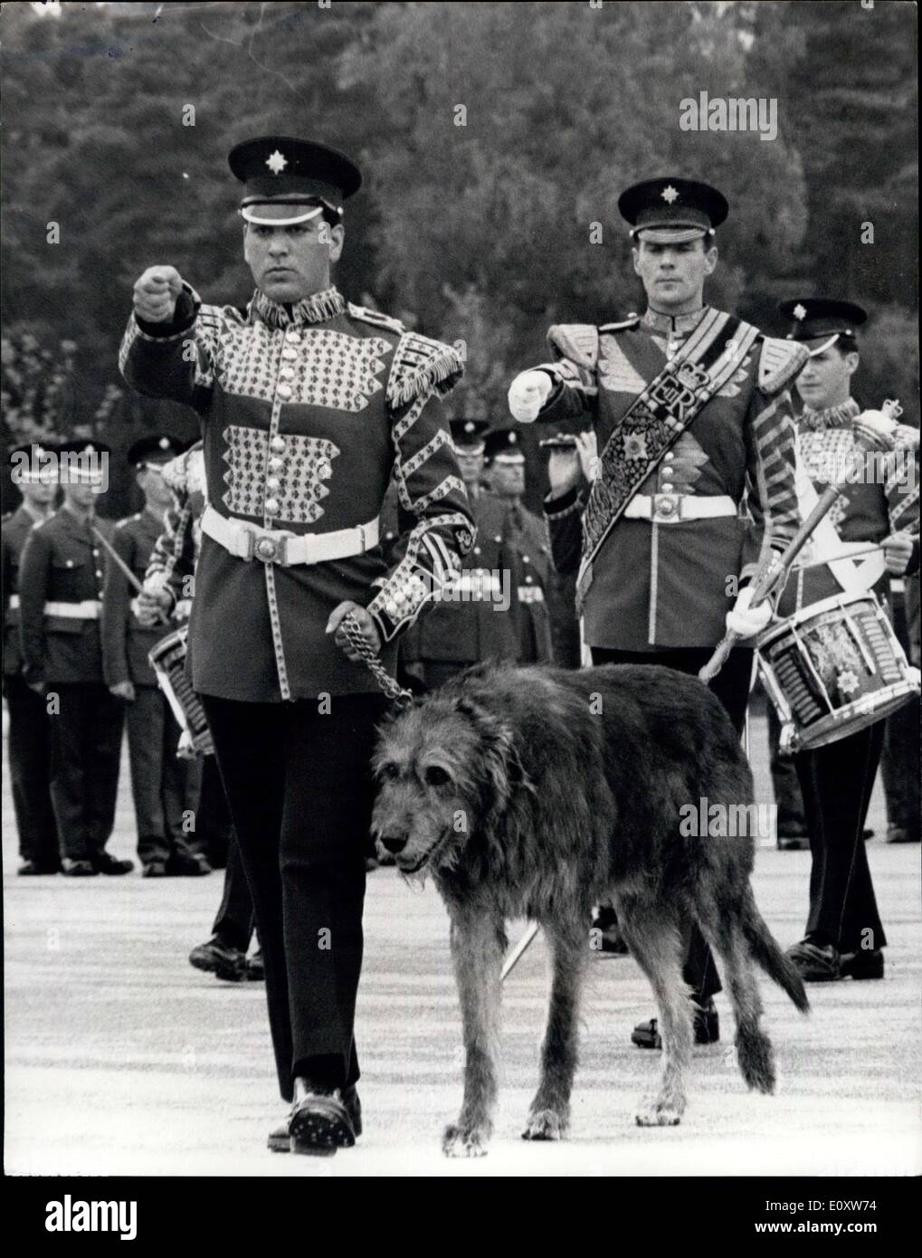 Sett. 27, 1967 - nuova mascotte del reggimento di guardie irlandese: a dieci mesi di vecchio Irish Wolfhound, Fionn, ieri è diventata la nuova mascotte del reggimento del primo battaglione irlandese Guardie, a Pirbright, Surrey. Fionn è stata presa in consegna da un altro Irish Wolfhound, Shaun, il quale stava per essere smobilitati con gli onori militari dopo la sua piena di sette anni di servizio. Maresciallo di Campo conte Alexander di Tunisi, il colonnello del Reggimento era lì per dare Shaun una pacca sulla testa e dire: ''Addio vecchio amico''. Shaun verrà ritirato in Scozia. La foto mostra l'intero 1. Foto Stock