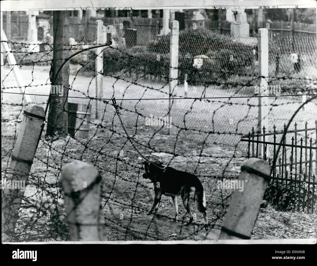 Gen 01, 1968 - Il muro di Berlino.: Foto mostra una veduta familiare ai rifugiati in fuga da comunista di Berlino Est. Un cane alstion in guardia sul ''Dog - Esegui'' alla frontiera. Foto Stock