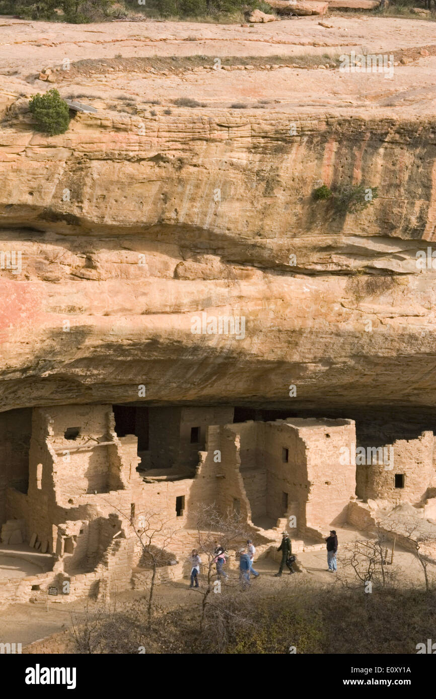 Ranger-led esplorazione di Spruce Tree House, Mesa Verde National Park, COLORADO, Stati Uniti d'America Foto Stock