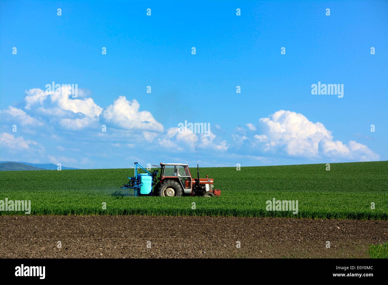 Il trattore in un allevamento di campo Foto Stock