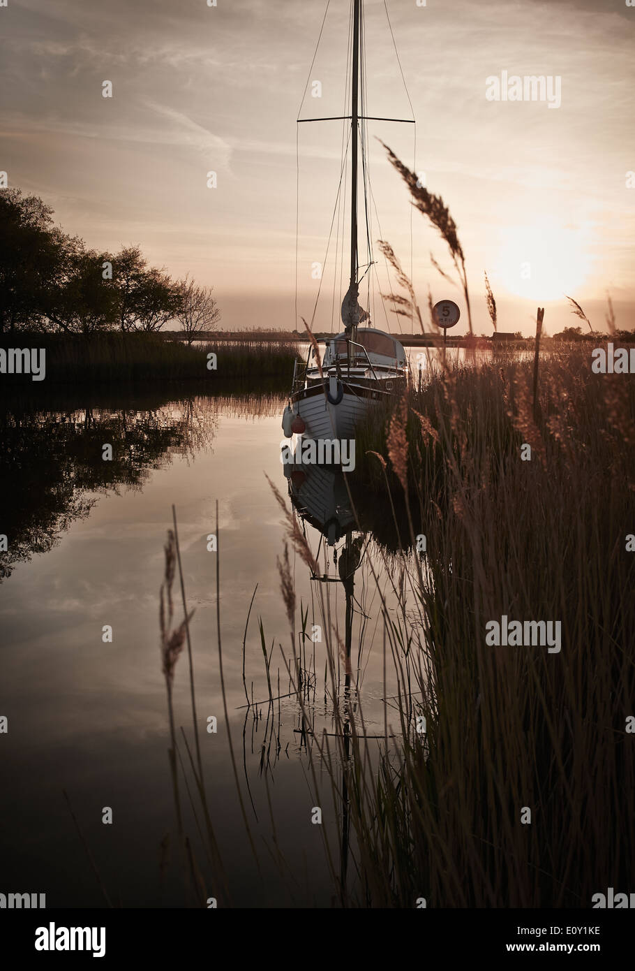Yacht ormeggiati, il Parco Nazionale Broads del Norfolk, Norfolk, Inghilterra, Regno Unito, Europa. Foto Stock