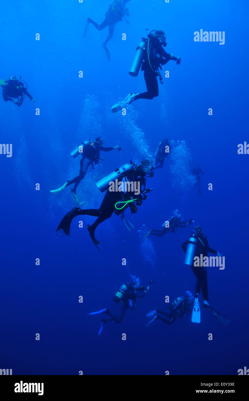 I subacquei guardando nel blu Foto Stock