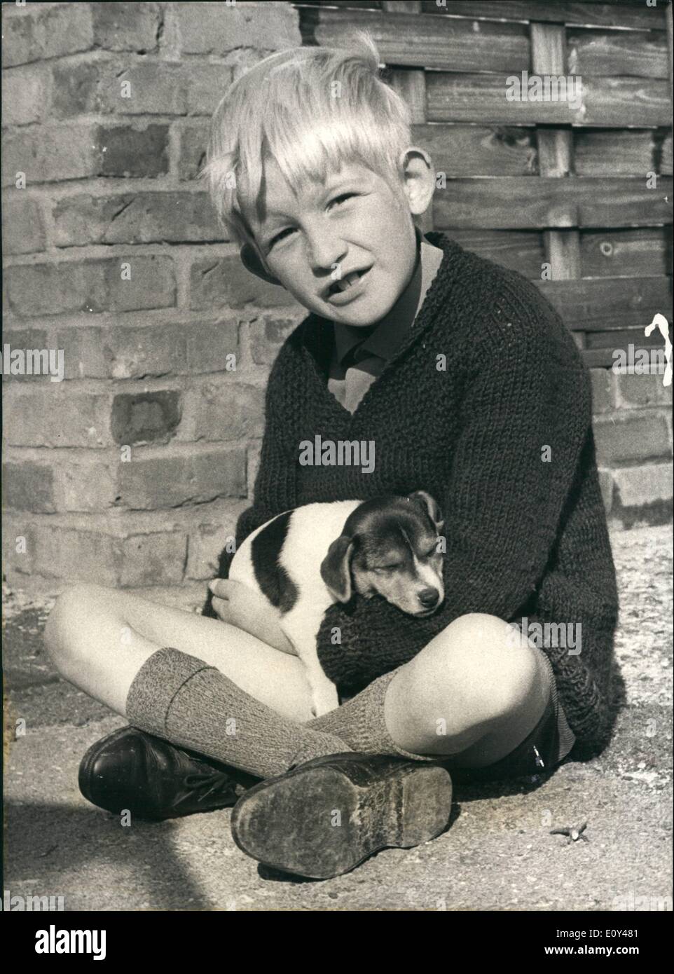 Ottobre 10, 1968 - foro-in-cuore boy diventa nuovo cane.: foro-in-cuore boy Colin Tompkins, illustrato ieri con un Jack Russell Terrier cucciolo, che fu dato a lui per sostituire la sua lost dog. Colin era stato malato con preoccupazione in quanto il suo pet Judy scomparso nove giorni fa. Ieri Colin è stato preso a otto miglia per vedere la sig.ra Veronica Tarr, della Corte Bedfount, Stanwell, Middlesex, che gli diede nove settimane vecchio cucciolo. Più tardi a casa sua a Rockingham vicino, Ucbrisge, Colin ha detto: ''Colin era malato di nuovo la notte scorsa, così abbiamo deciso di fare qualcosa per fermare lui pining l. La sig.ra Tarr detto: ''Ho semplicemente voluto ti aiutare un bambino malato Foto Stock