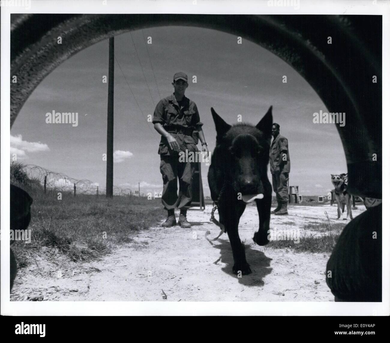 Ottobre 10, 1968 - Bien Hoa air base, Vietnam. Il USARV cane formazione distacco: PFC. Ciro E. Trento (Mullens, W. Va.) il cane gestore, 63rd CTT, Americal Div, gestisce il suo cane attraverso la tunnellat l'area formazione. Il dipartimento dell'esercito non ha obiezioni alla pubblicazione di questa fotografia. Il suo uso nella pubblicità commerciale deve essere approvato dalle informazioni pubbliche, Dipartimento dell'esercito, il Pentagono a Washington il 25 D.C. se pubblicata, si prega di credito ''U.S. Fotografia dell'esercito. Foto Stock