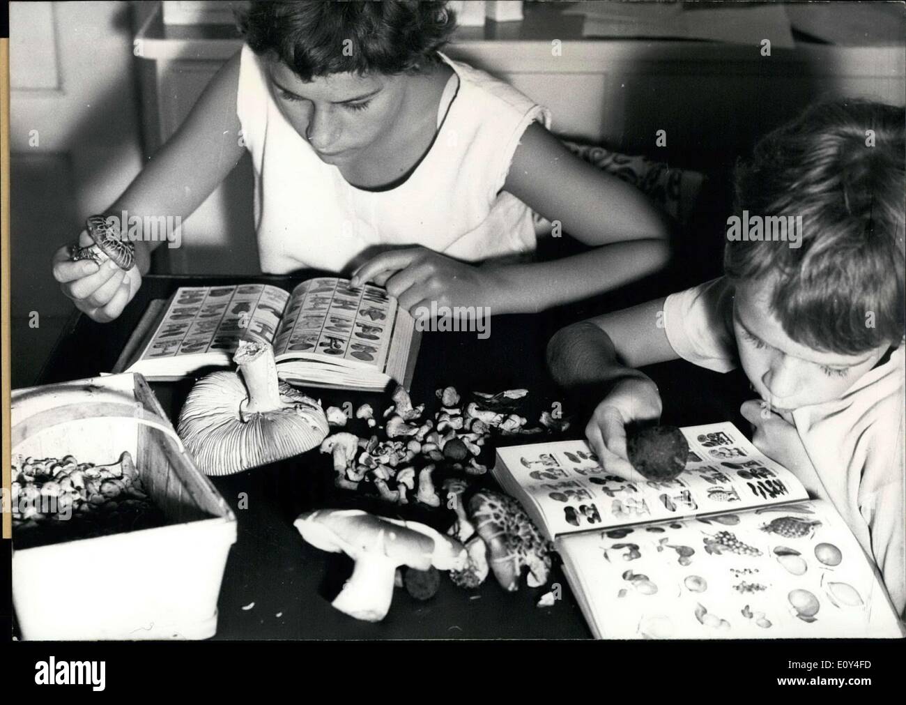Agosto 06, 1968 - Nella foto sono i bambini che stanno individuando i funghi. La didascalia di questa immagine informa il lettore su diversi tipi di funghi come pure i pericoli di funghi velenosi. Foto Stock