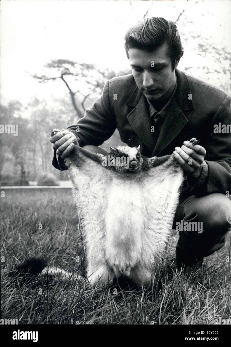 Nov. 23, 1968 - qui illustrato è di origine animale custode Peter Schulz con un raro Southeast Asian Teguan. Il Teguan era alla Zoo di Duisburg. Foto Stock