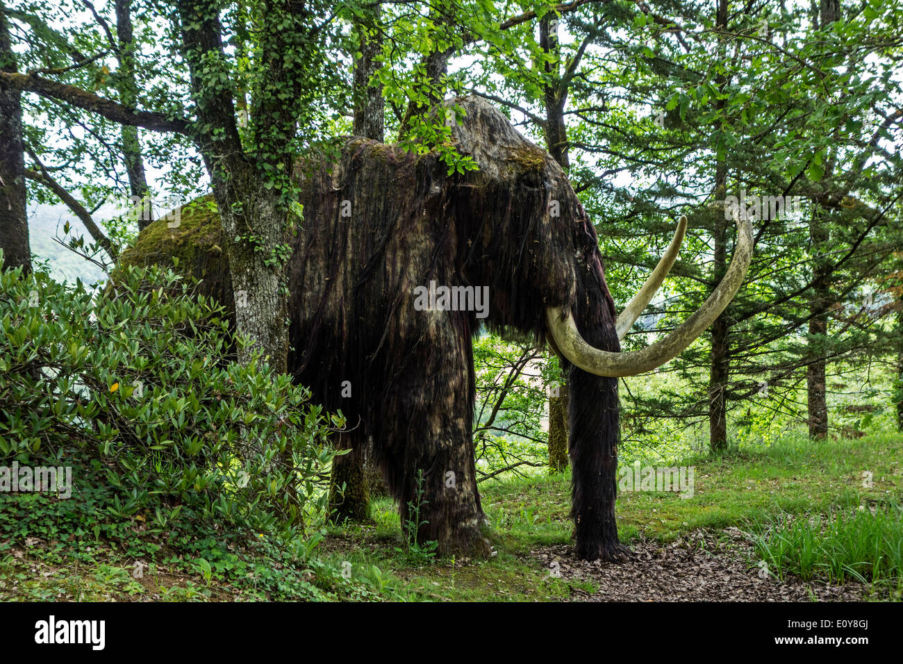 Mammut lanosi (Mammuthus primigenius), Le Thot museo di animali preistorici e arte paleolitica, Thonac, Dordogne, Francia Foto Stock