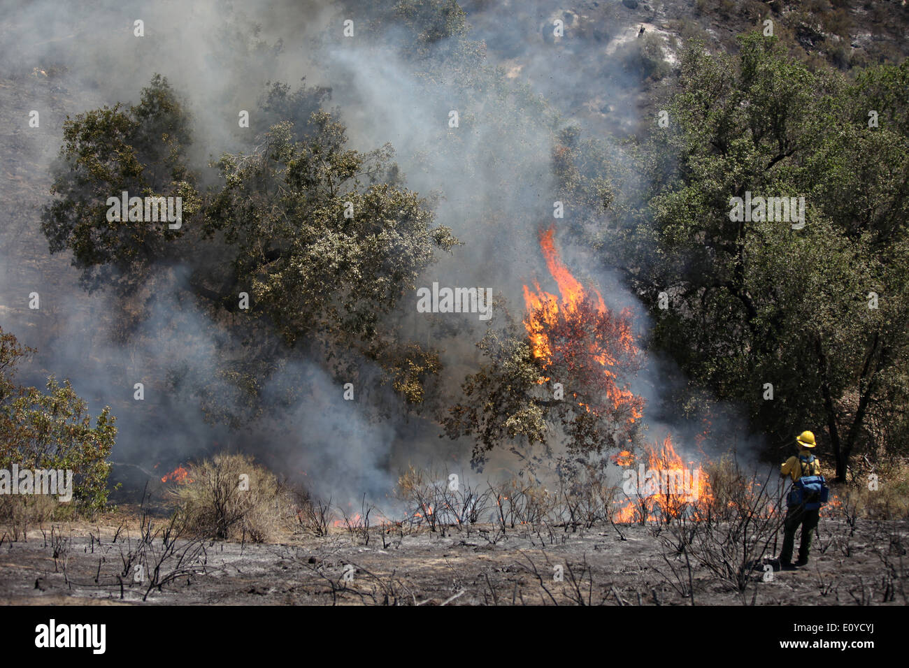 Calfire vigili del fuoco monitorare il tomahawk e Las Pulgas incendi che bruciano le colline pedemontane Maggio 16, 2014 intorno a Camp Pendleton, California. Il Las Pulgas Wildfire di Camp Pendleton ha bruciato oltre 15.000 acri ed è il più grande incendio in San Diego County storia. Foto Stock
