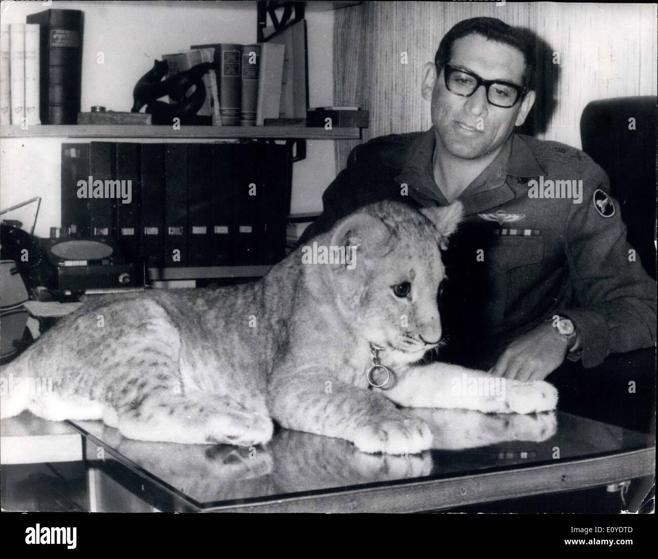Dic. 30, 1969 - Il brigadiere E IL LION CUB. Il brigadiere generale REHAVAM ZE'EVI, c/o comando centrale - Israele 9 raffigurato con Ruti, il Lion cub mascotte del comando centrale, cercando piuttosto addomesticati seduta sul Brigad er la scrivania. Il leone (di Giuda è il simbolo del comando centrale ed è visibile su Ze ' Evi il manicotto. Foto Stock