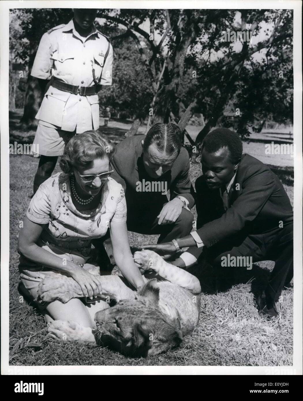 Lug. 07, 1970 - Lion Cub presentato per il sig. e la Sig.ra Raymond C. Firestone dal governo del Kenya: le foto scattate a Nairobi animale orfanotrofio oggi quando un 8 mese old Lion è stato presentato dal governo del Kenya a Mr.Raymond C. Firestone testa della American azienda di pneumatici a Akron, Ohio. A sua volta egli donerà il leone di Overtan Park Zoo a Memphis, Tennessee. Il leone chiamato Jimmy divenne orfano quando sua madre è stato girato dal Kenya gioco dipartimento dei funzionari di Wajir (Kenya settentrionale), perché era un uomo-eater Foto Stock