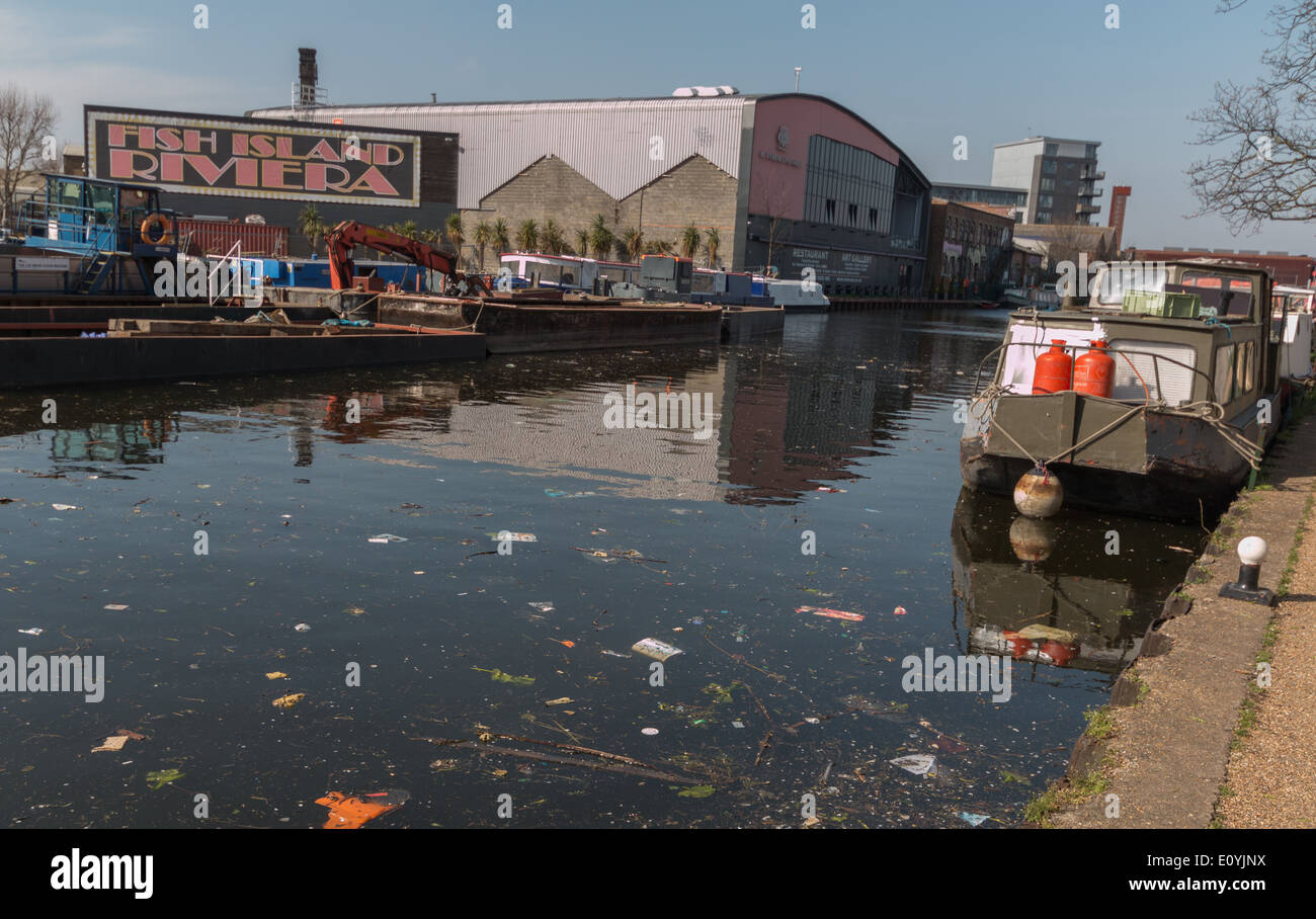Isola di pesce Rivera lungo il fiume Lee Foto Stock