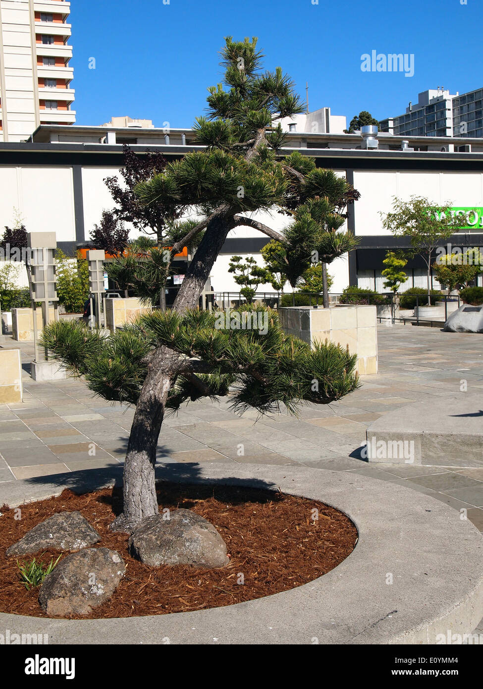 Japantown, San Francisco Foto Stock