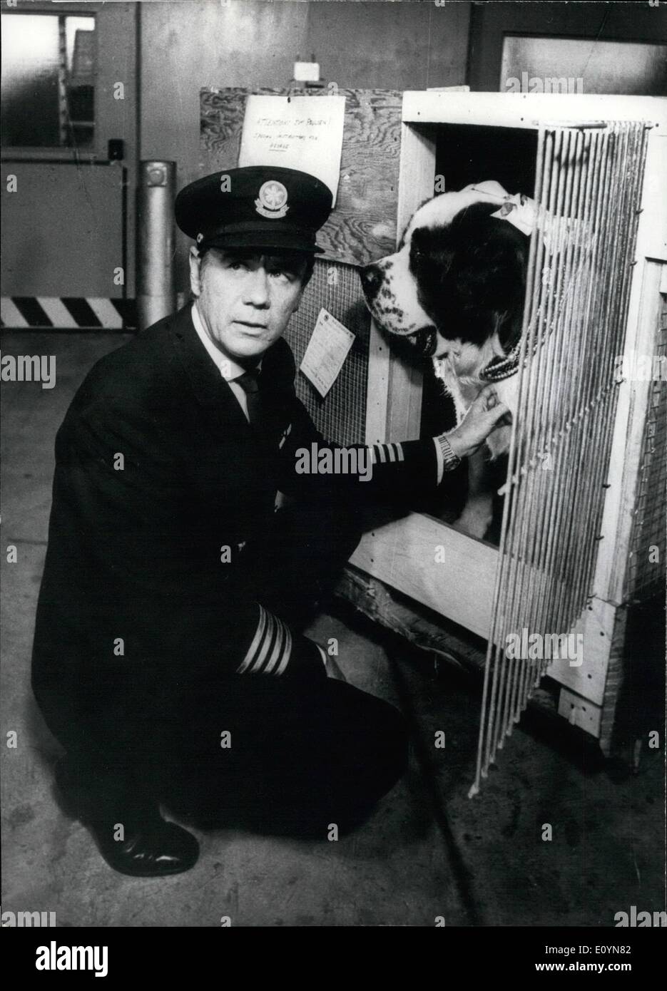 Nov. 11, 1970 - Nuovo film con Marshall Thompson: nella sua nuova tv-film ''tutto su George'' Marshall Thompson suona insieme con un enorme cane Bernhardiner, George, che riesce a ottenere il Marshall Thompson sposato. Dopo 104 minuti di playtime Marshall Thompson, la cui parte nella sua prima produzione germano-svizzero è una smart pilota della Air Canada che ama l'amore-affari, prende tra le braccia del suo partner di Monaco di Baviera Ingeborg Schoner e ottiene sposata Foto Stock