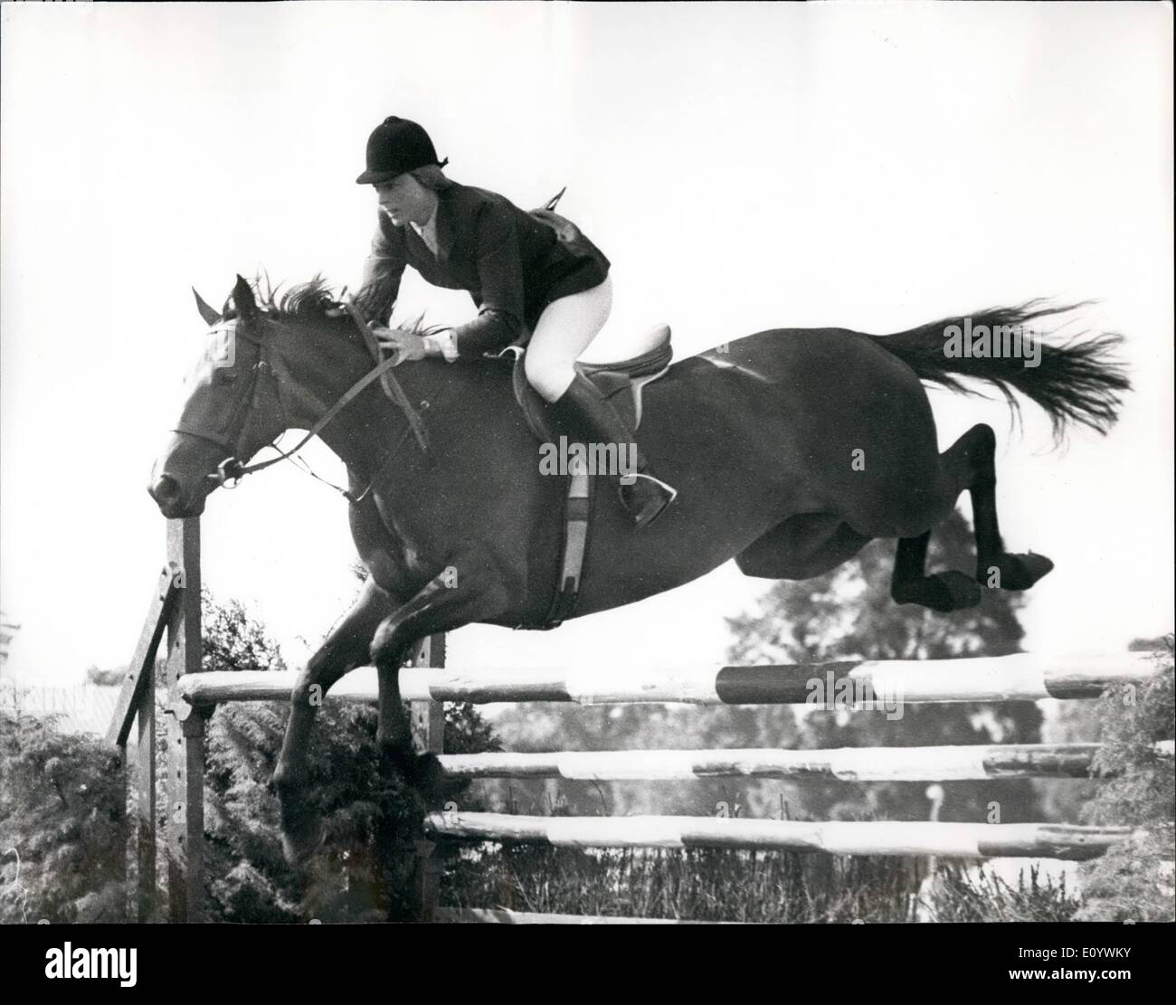 Agosto 08, 1971 - Greater London Horse Show a Clapham Common: la Greater London Horse Show, promosso dalla Greater London Council, che si tiene oggi e lunedì a Clapham Common, ha attratto molti del paese del top rider. La foto mostra il Sig.ra Marion stampo, opportunità di equitazione II - prendendo uno dei salti quando vincendo il ''Daily Express'' Foxhunter Finale Regionale per lo spettacolo di oggi. Foto Stock