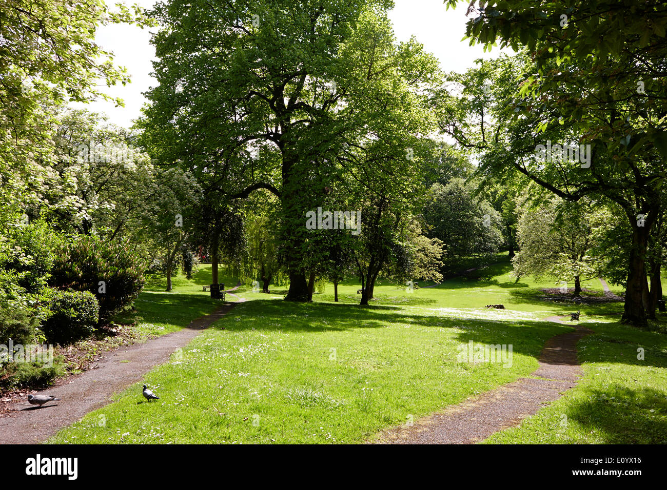 Parco aperto in Piazza Winckley cittadina georgiana pianificazione Preston LANCASHIRE REGNO UNITO Foto Stock