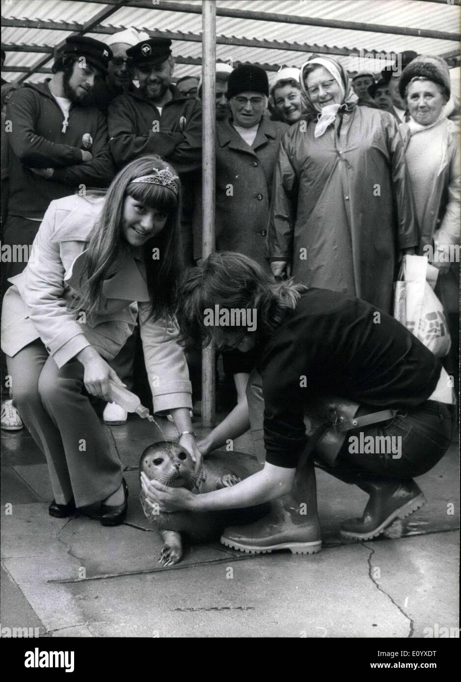 Sett. 22, 1971 - Questa piccola guarnizione-baby...: ... è chiamato ''Olympia''. Si tratta di una guarnizione-stazione di allevamento da Schasvig-Holstein e recentemente è stato presentato il sindaco Kiel Bantzer con un altro sigillo chiamato ''Kilius'' come mascotte per la Vela olimpica-Championships 1972. Per i primi sei mesi le guarnizioni rimangono in Busum, dopo di che vengono presi per la stitut per oceanografia in Keil. La foto mostra appartamenti-regina Rita con la guarnizione ''Olympia''. Sulla destra è di cura da infermiere la guarnizione-stazione di allevamento Busum. Foto Stock