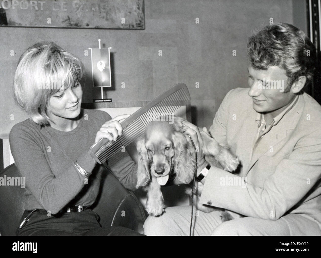 Oct 16, 1971 - Parigi, Francia - SYLVIE VARTAN e Johnny Hallyday con loro cocker spaniel all'aeroporto di Orly dopo sono arrivati da noi. Data esatta sconosciuto. Foto Stock