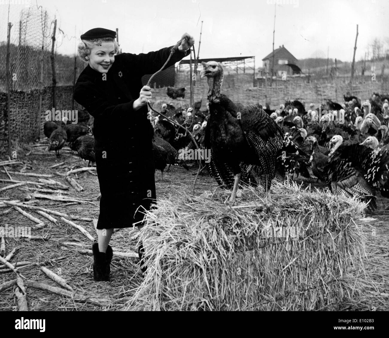 VIVIAN BLAINE era un'attrice americana e cantante più noto per originario il ruolo di Miss Adelaide nella musica ragazzi e bambole. Foto Stock