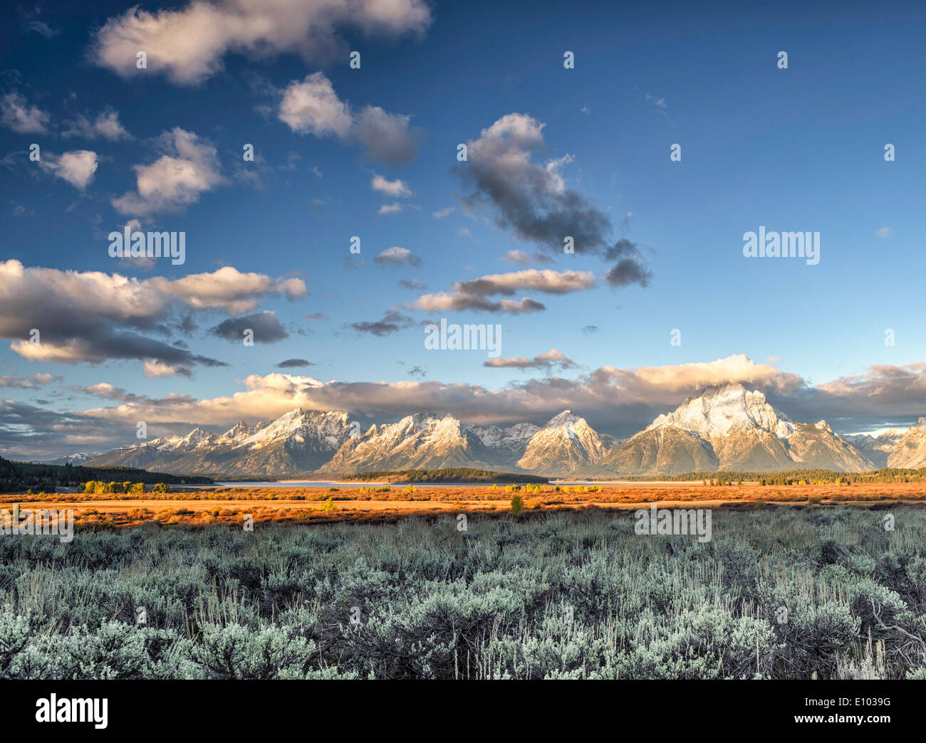 Il Grand Teton Mountains e il lago Jackson in Gran Teton National Park. Foto Stock