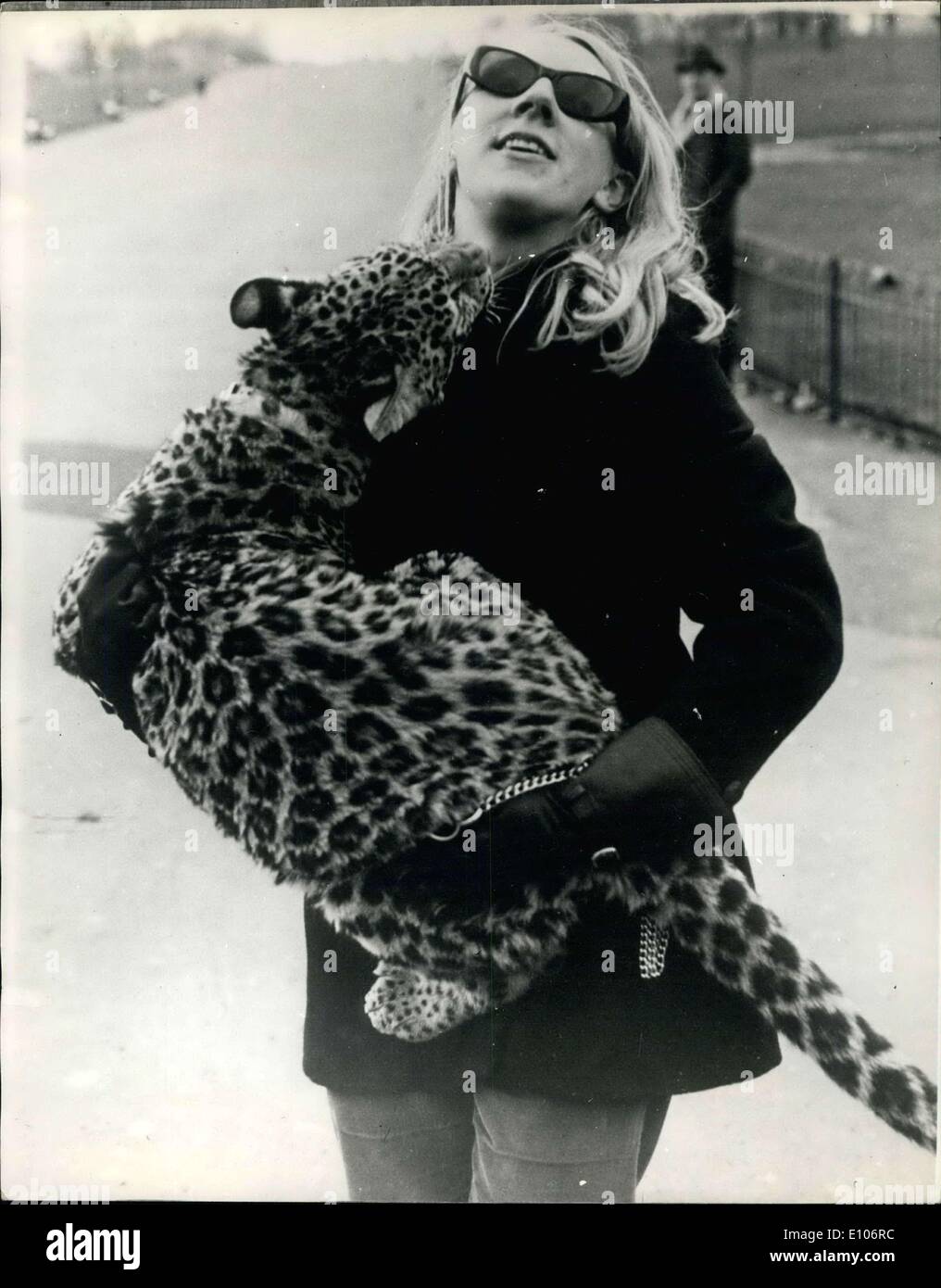Gen 30, 1970 - a piedi il mio Leopard in città 'Svasino" questo mese otto vecchi Leopard ha di avere la sua passeggiata quotidiana, così il suo proprietario Angela McWilliams è di obbligare, anche se a macchie presto si stanca e deve essere portato a casa. La foto mostra: macchie essendo portato a casa dopo la passeggiata mattutina attraverso Kensington. Foto Stock